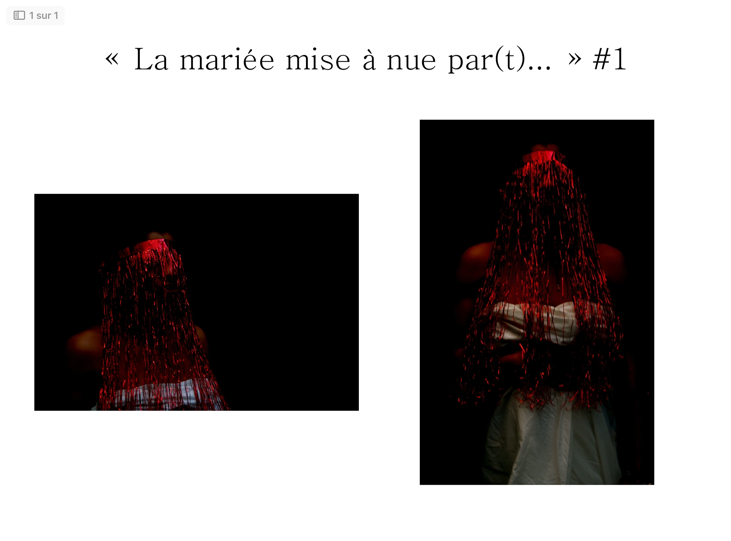 La mariée 1   by S.M.Art