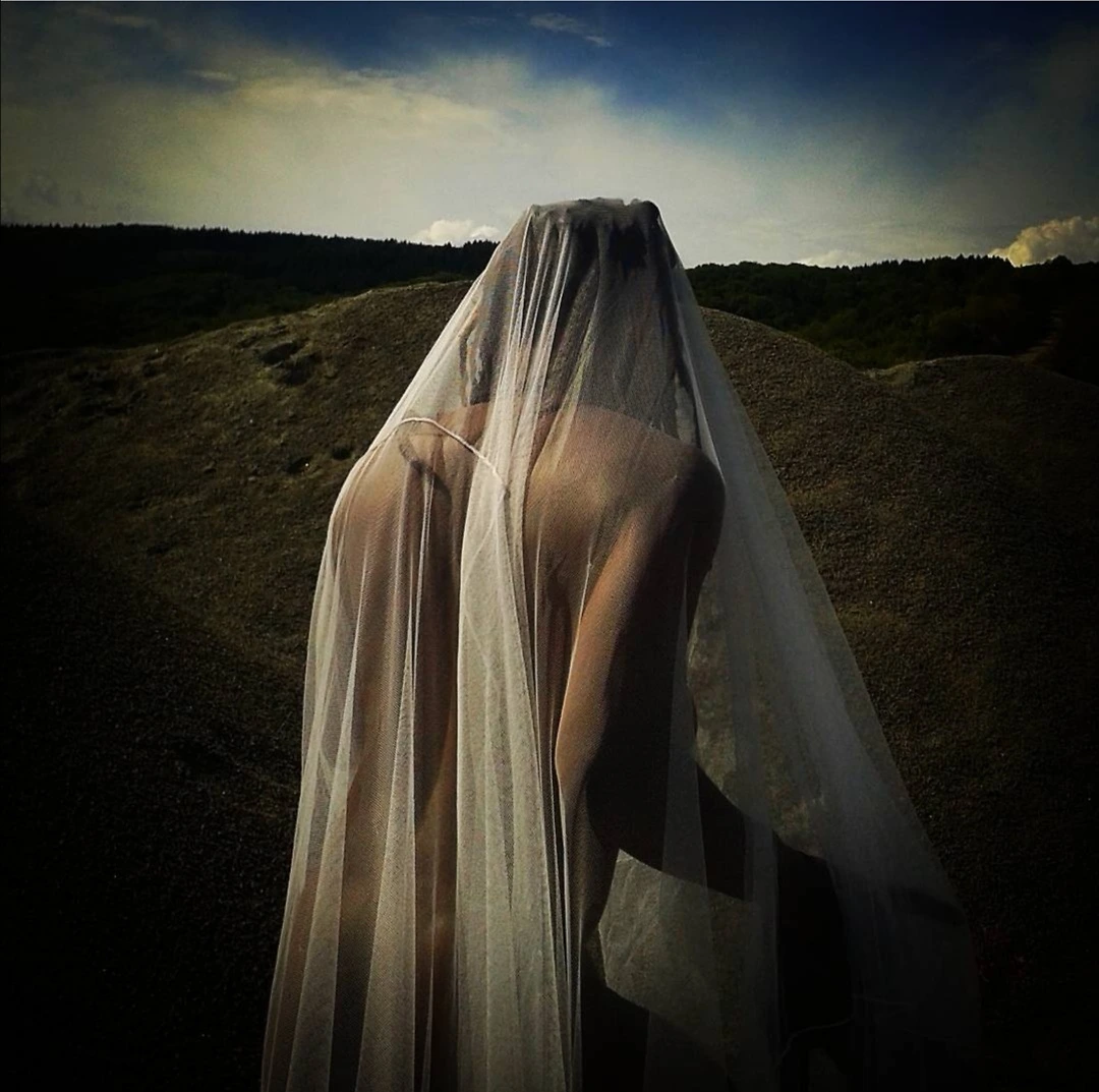 La mariée Mise à nue Part La-mariee-Mise-a-nue by S.M.Art